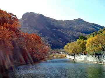 澳门二四六天天免费好材料，国珍松花